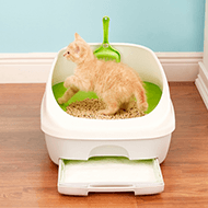 Cat Litter Boxes - Bosonshop