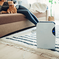 Dehumidifiers