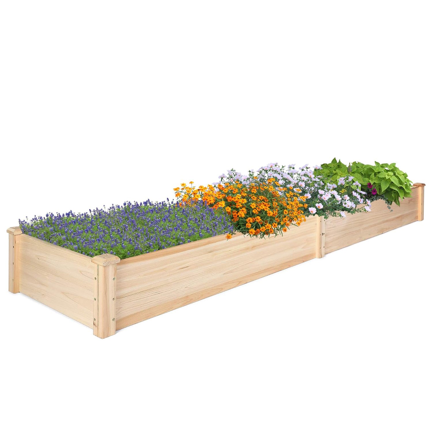 Raised Garden Bed 8 x 2 Ft Outdoor Natural Fir Wood Elevated Planter Garden Box for Vegetable Flower Herb