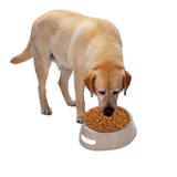 Bosonshop Plastic Pet Supplies Set Cat Kitten Dog Litter Tray, Bowl, Litter Scoop and Food Scoop