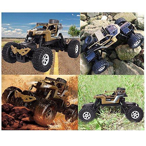 Bosonshop Electric RC Car 1:18 Remote Control Vehicle 2.4Ghz Off-Road Rock Crawler All Terrain Double-turn Waterproof Truck for Kids