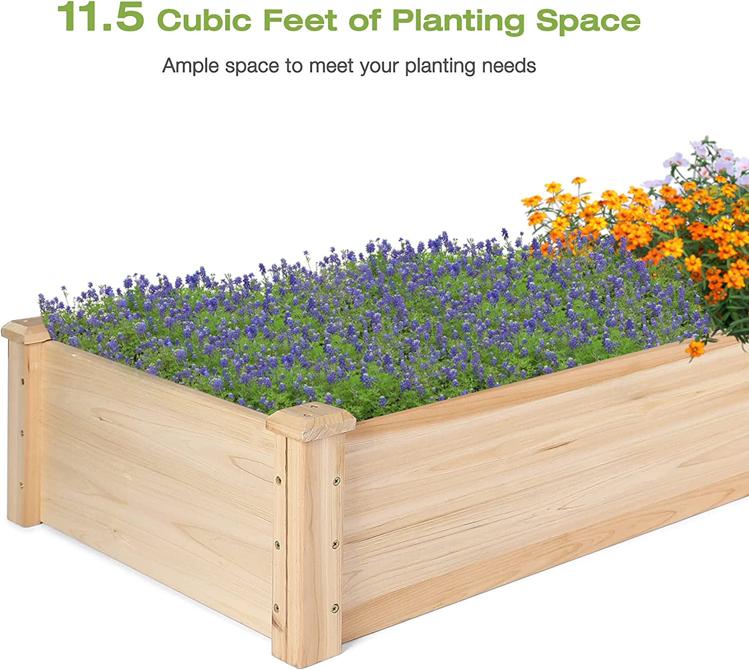 Raised Garden Bed 8 x 2 Ft Outdoor Natural Fir Wood Elevated Planter Garden Box for Vegetable Flower Herb