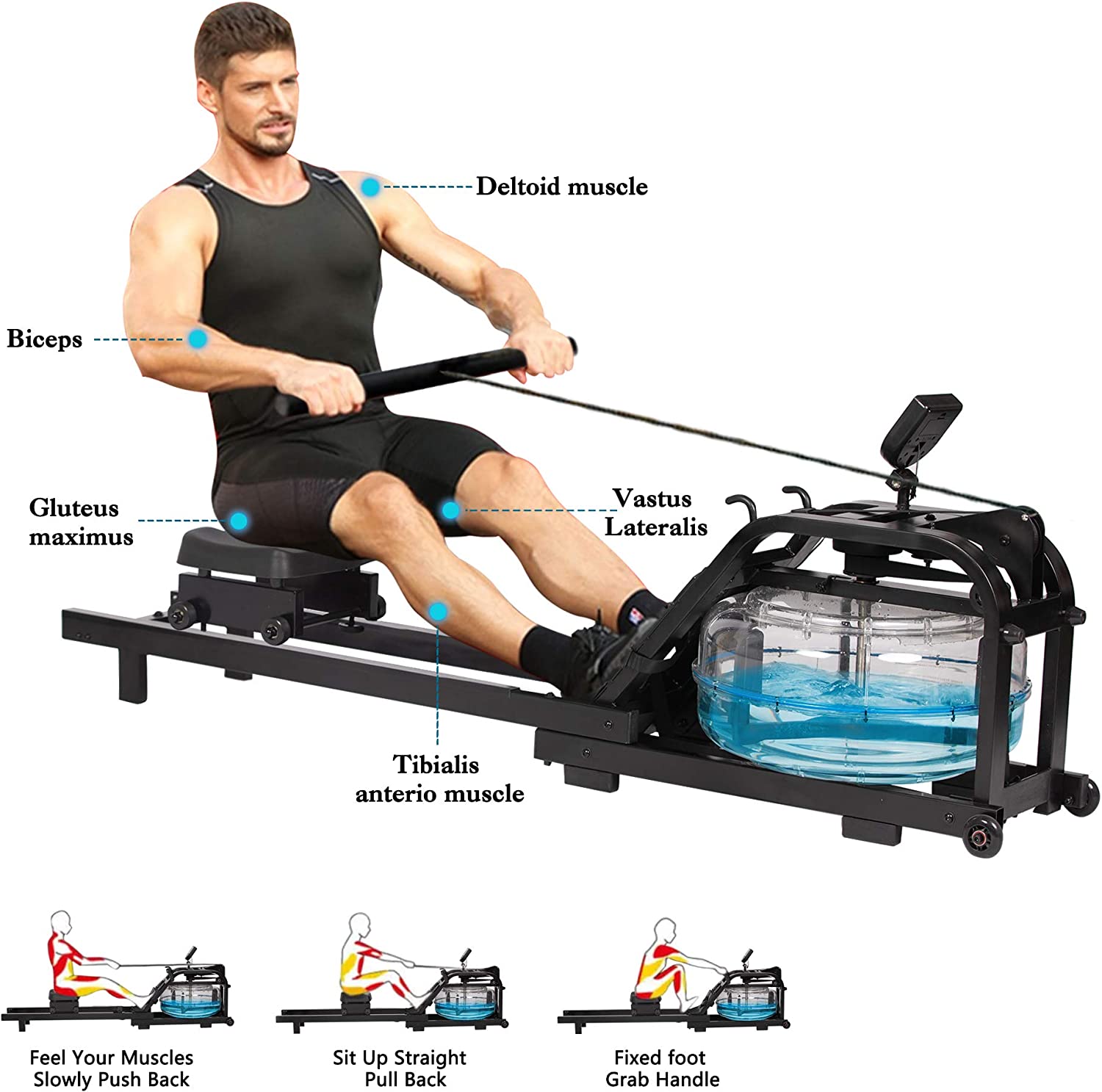 Home Water Rowing Machine with LCD Monitor - Supports up to 330 Lbs