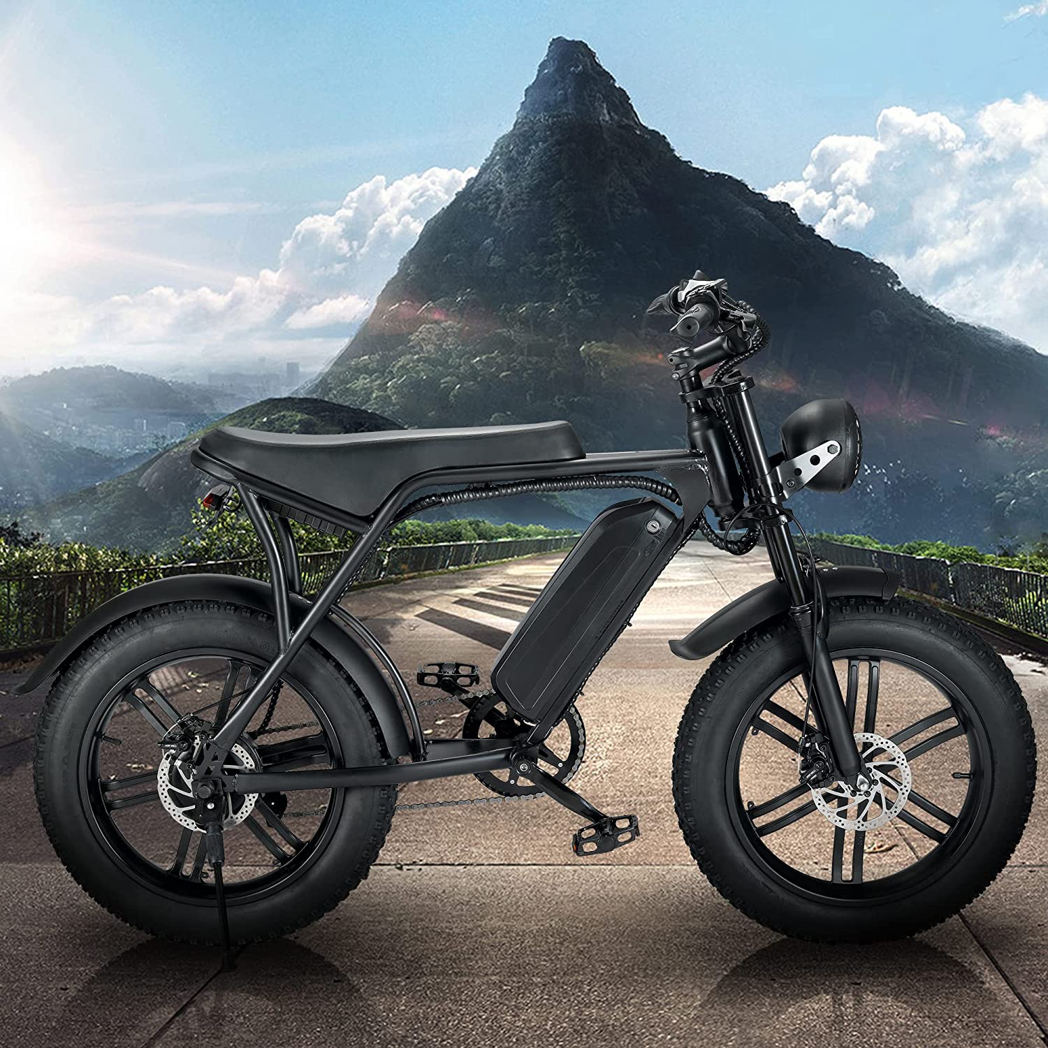(Out of Stock) Electric Bike 750W for Adults, Motor Bike with Removable Lithium Battery